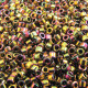 DBL0023 Bronze AB Metallic, Approx. 5.2gr, Size 8/0 Miyuki Delica Beads, Colour Code 0023 DBL0023 Bronze AB Metallic, Approx. 5.2gr, Size 8/0 Miyuki Delica Beads, Colour Code 0023