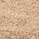 DB0205 Beige Glazed Luster, Size 11/0 Miyuki Delica Beads, 50gm bag