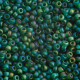Frost Green Rainbow, Miyuki 11/0 Seed Beads, Colour 0146FR, 250 Grams Frost Green Rainbow, Miyuki 11/0 Seed Beads, Colour 0146FR, 250 Grams