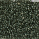 Duracoat Galvanised Black Moss Miyuki 11/0 Seed Beads, Colour 5107, 100g Wholesale pack Duracoat Galvanised Black Moss Miyuki 11/0 Seed Beads, Colour 5107, 100g Wholesale pack