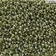 Duracoat Galvanised Dark Steel Green Miyuki 11/0 Seed Beads, Colour 5112, 100g Wholesale pack