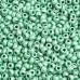 Metallic Mint Green Matte Terra, Size 8/0, 22g Metallic Mint Green Matte Terra, Size 8/0, 22g