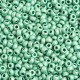 Metallic Mint Green Matte Terra, Size 8/0, 22g