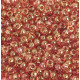 Transparent Red / Bronze Coated, Size 6/0, 22g Transparent Red / Bronze Coated, Size 6/0, 22g