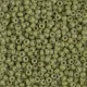 Opaque Cactus Duracoat, Miyuki Seed Beads, Colour 4474, 100 Grams