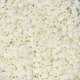 DBM0352 Cream Opaque Matte Glazed Luster, Size 10/0, Colour 352- 50g Bag