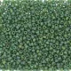 Green Frost Opaque Glazed Rainbow, Size 8/0 seed beads,, colour 4699, Wholesale 250g pack. Green Frost Opaque Glazed Rainbow, Size 8/0 seed beads,, colour 4699, Wholesale 250g pack.
