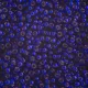 Dyed Silverlined Dark Violet Miyuki 6/0 Seed Beads, 250g, Colour 1427 Dyed Silverlined Dark Violet Miyuki 6/0 Seed Beads, 250g, Colour 1427